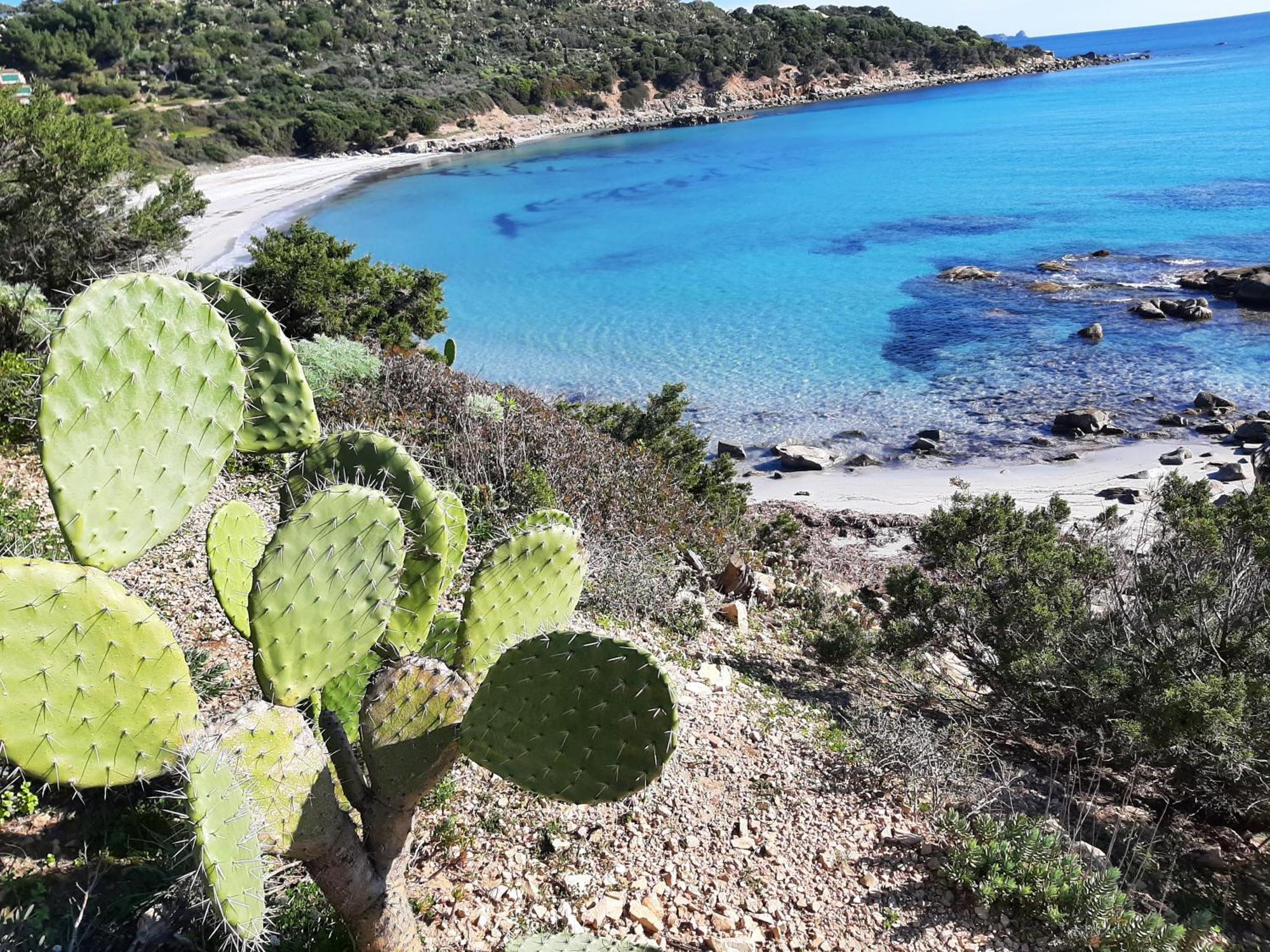 Casale Diletta Bed and Breakfast Castiadas Εξωτερικό φωτογραφία