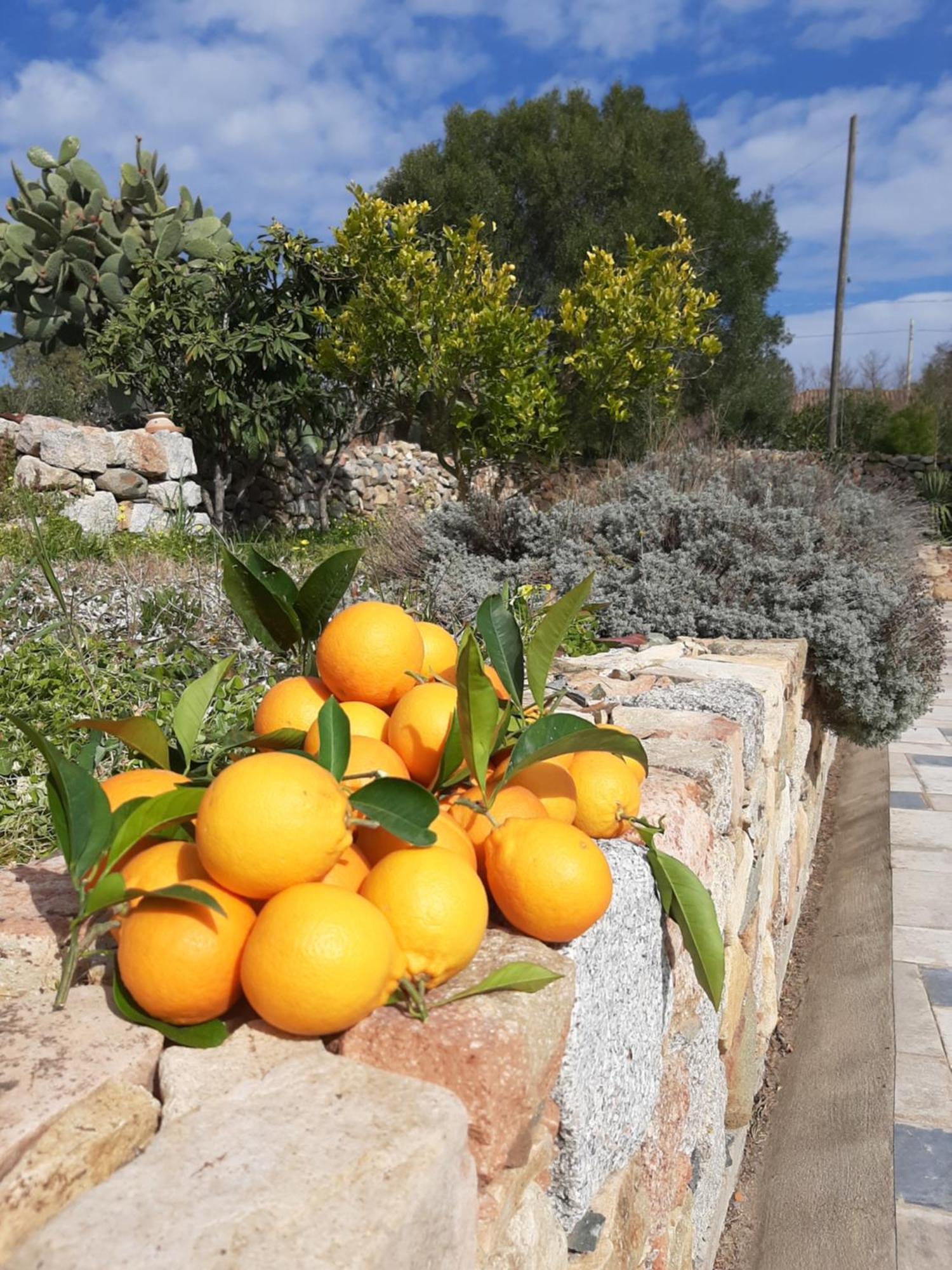 Casale Diletta Bed and Breakfast Castiadas Εξωτερικό φωτογραφία