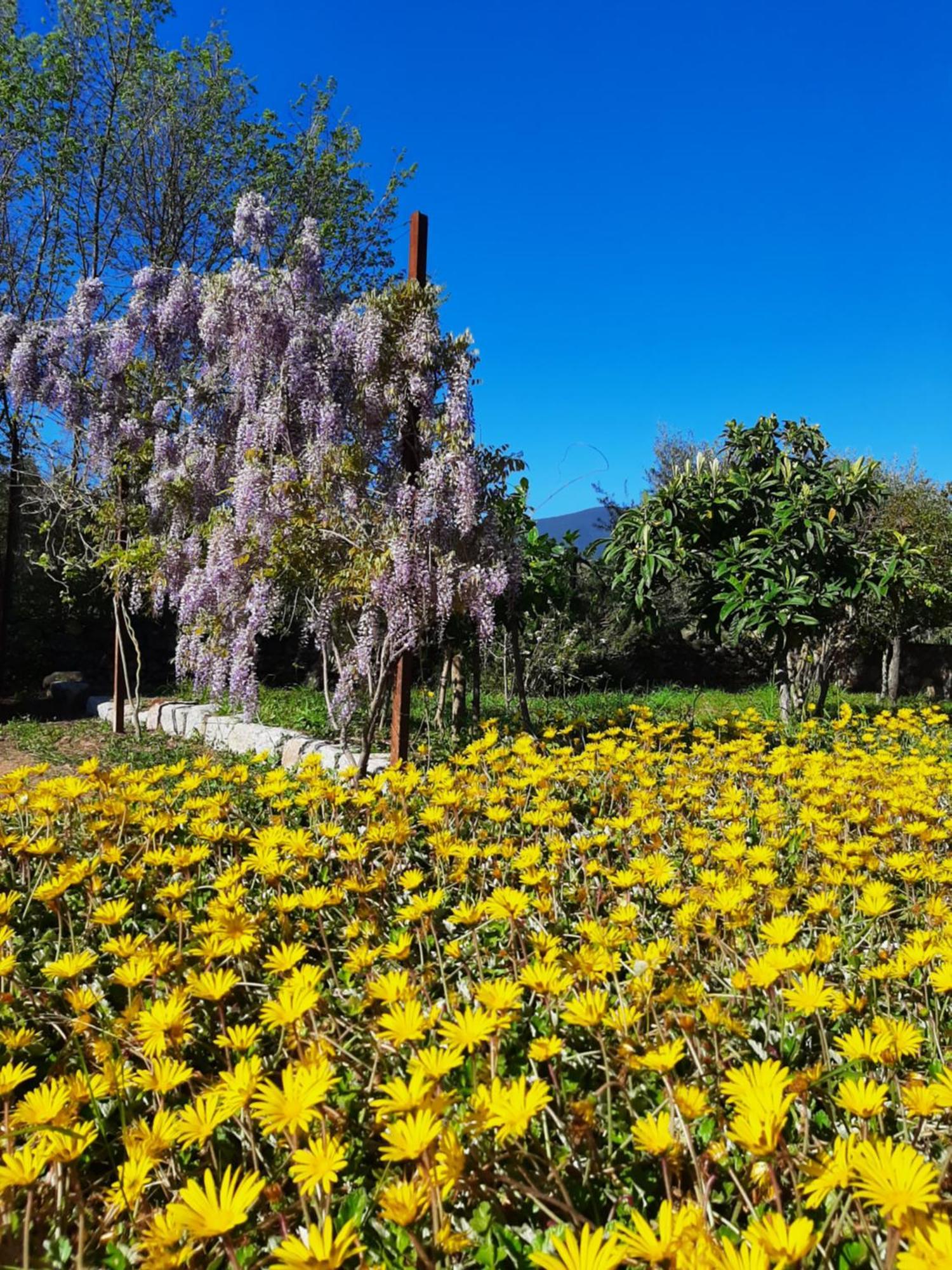 Casale Diletta Bed and Breakfast Castiadas Εξωτερικό φωτογραφία
