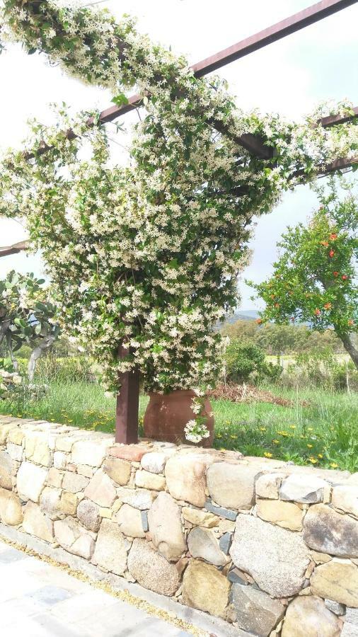 Casale Diletta Bed and Breakfast Castiadas Εξωτερικό φωτογραφία