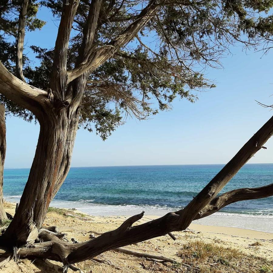 Casale Diletta Bed and Breakfast Castiadas Εξωτερικό φωτογραφία